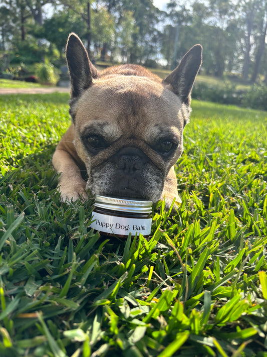 Puppy Dog Balm